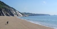 Summer Morning Dog-Walking Beach