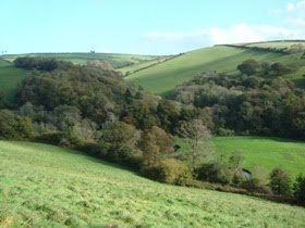 Coppicing