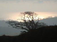 December in The South Hams
